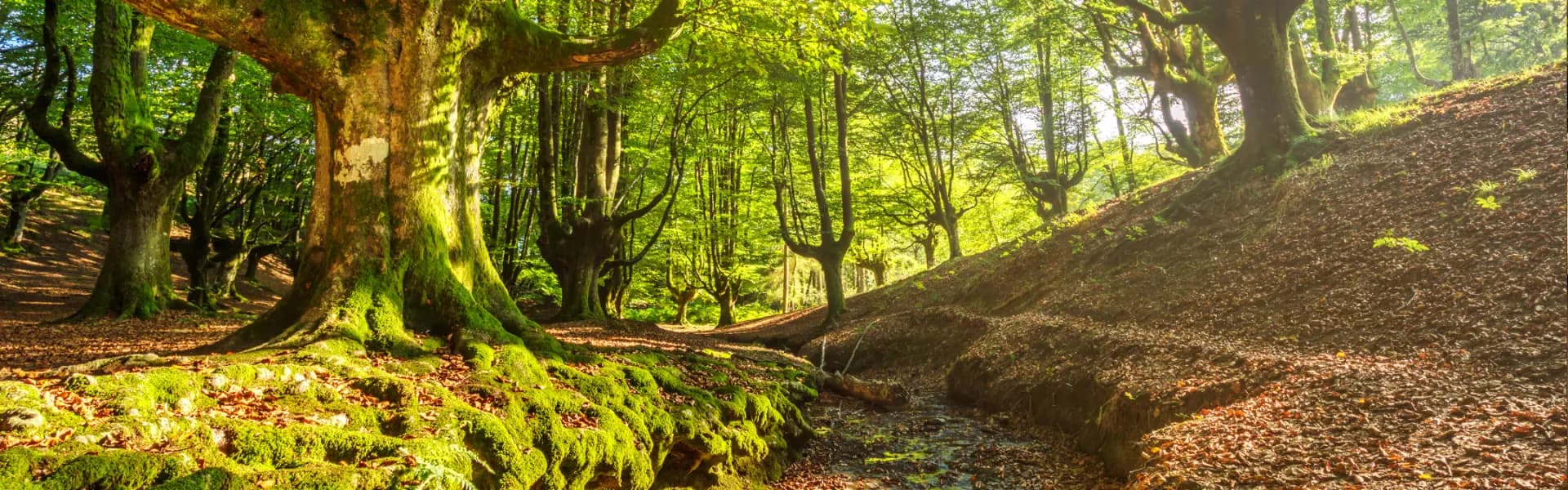 Gorbea Natural Park - 4