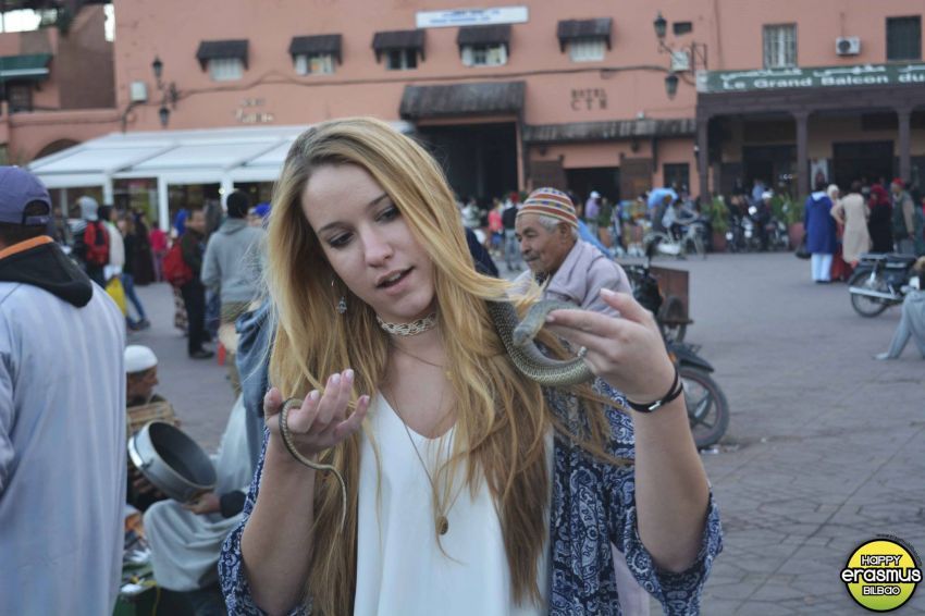 marocco