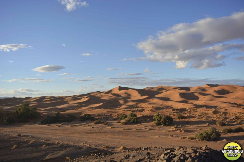 marocco