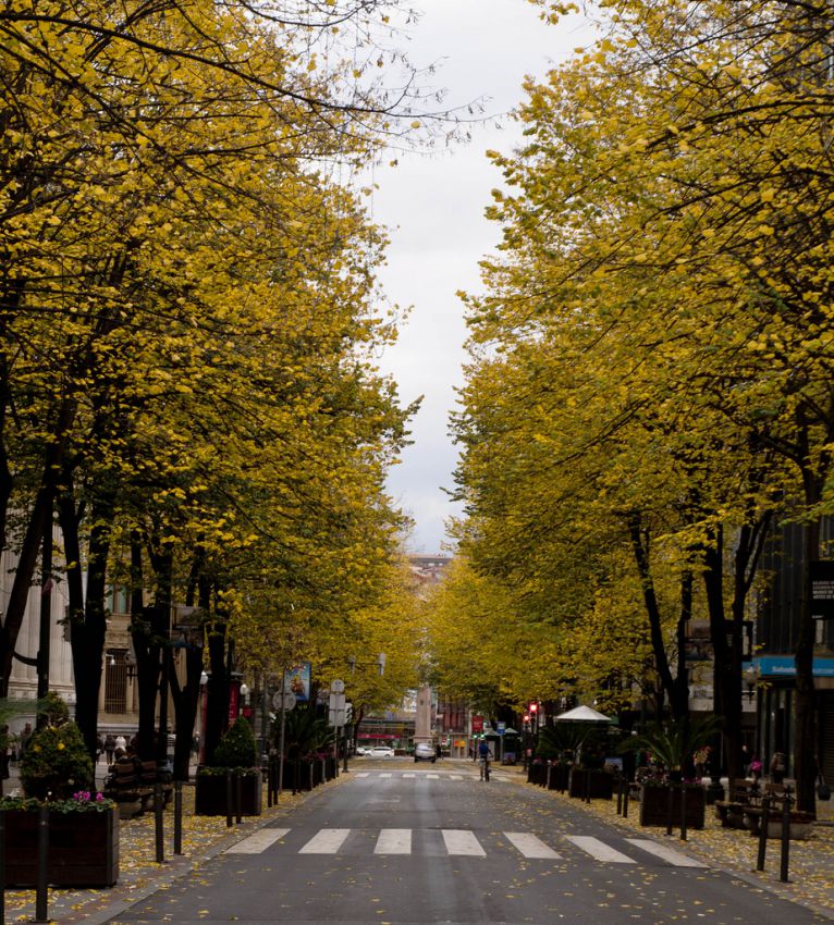 Compras en bilbao